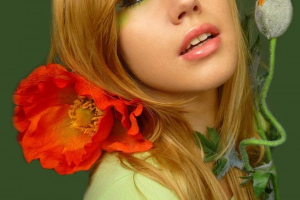 武汉办公,一杯茶解千愁 武汉办公,一杯茶解千愁